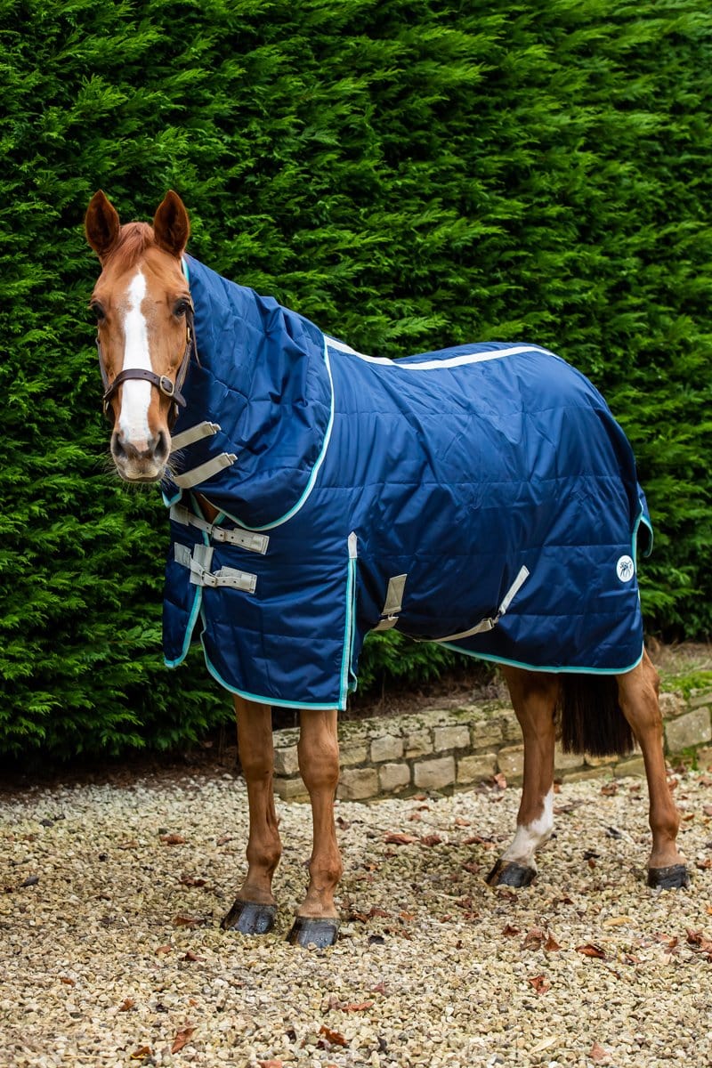 100g Stable Rug With Detachable Neck - Navy/Mint - Swish Equestrian