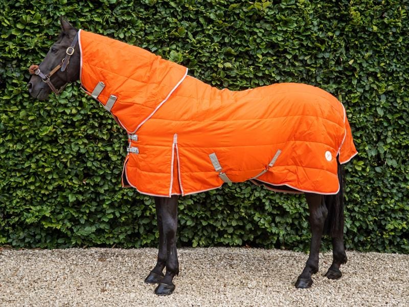50g Stable Rug With Detachable Neck - Orange - Swish Equestrian