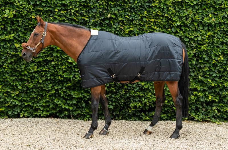 100g Horse Under Rug With Surcingles - Swish Equestrian