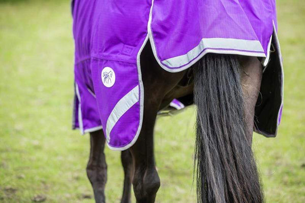0g Detachable Neck Turnout Rug - Purple - Swish Equestrian