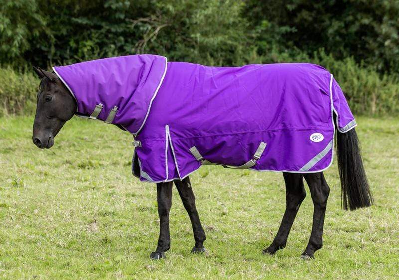 50g Detachable Neck Turnout Rug - Purple - Swish Equestrian