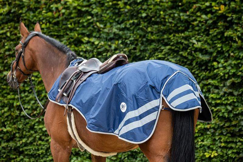 Blue Exercise Rug Shop Horse Exercise Rugs - Waterproof | Swish Equestrian™