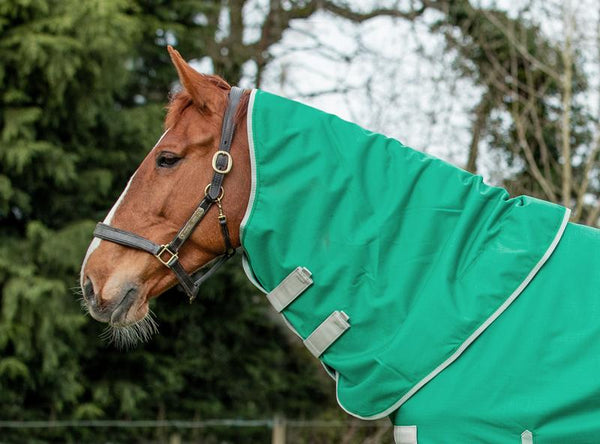 50g Green Turnout Rug Neck Cover - Swish Equestrian