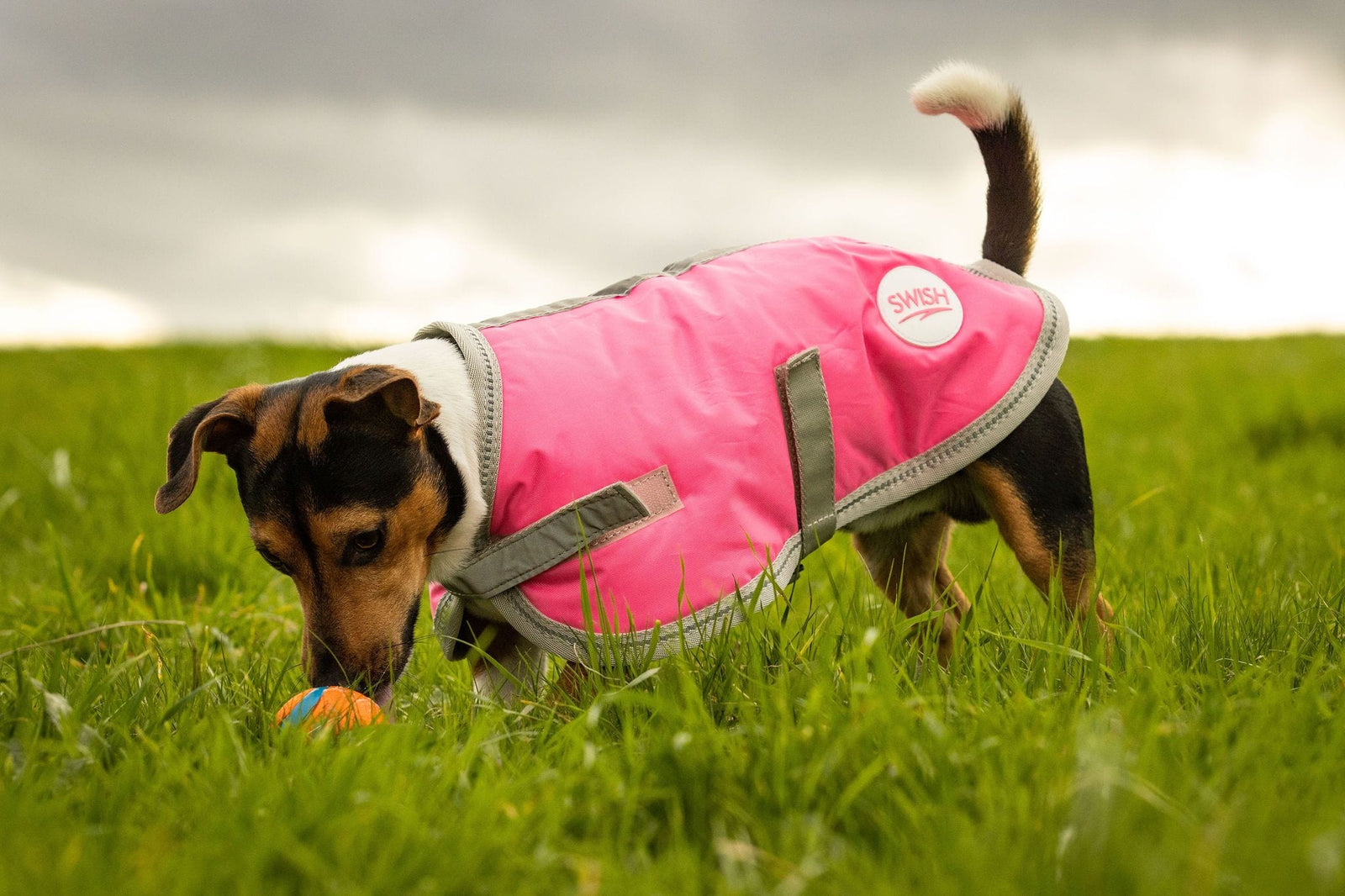 Waterproof Dog Coat Pink