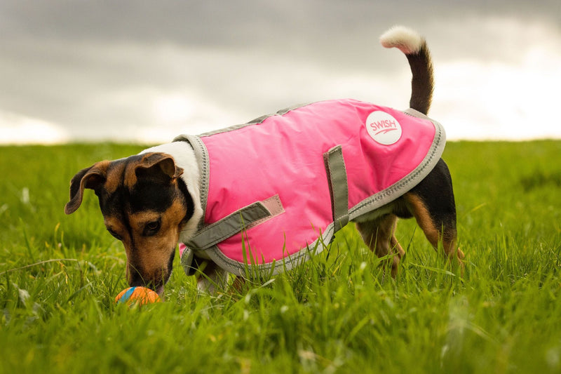 Waterproof Dog Coat - Pink - Swish Equestrian