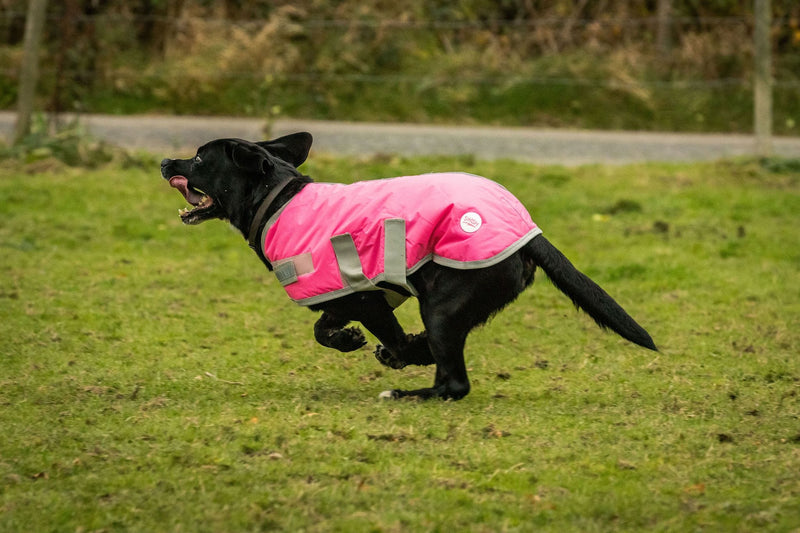 Waterproof Dog Coat - Pink - Swish Equestrian