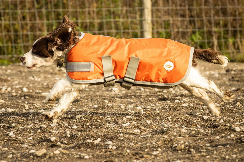 Waterproof Dog Coat - Orange - Swish Equestrian
