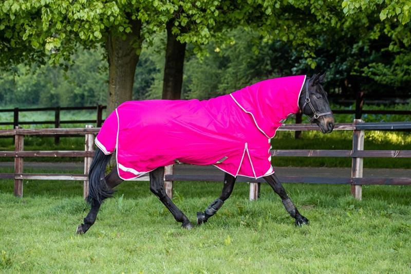 100g Detachable Neck Turnout Rug - Pink - Swish Equestrian