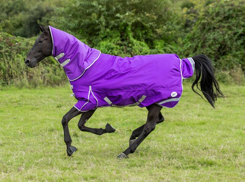 0g Detachable Neck Turnout Rug - Purple - Swish Equestrian
