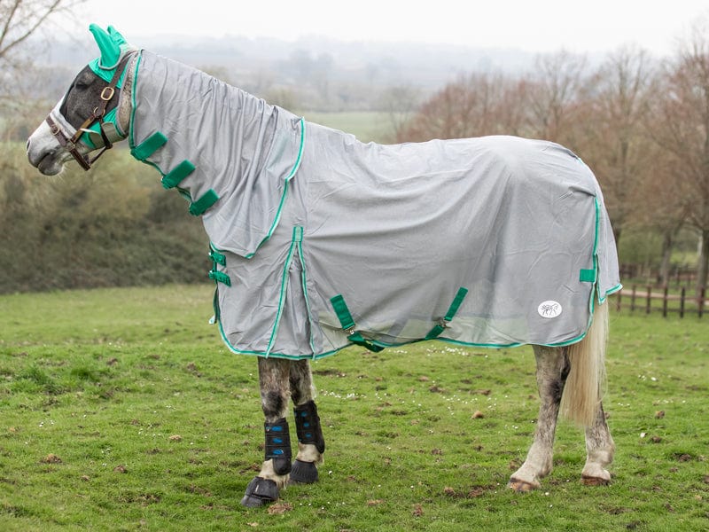 Mesh Fly Rug - Grey/Green - Swish Equestrian