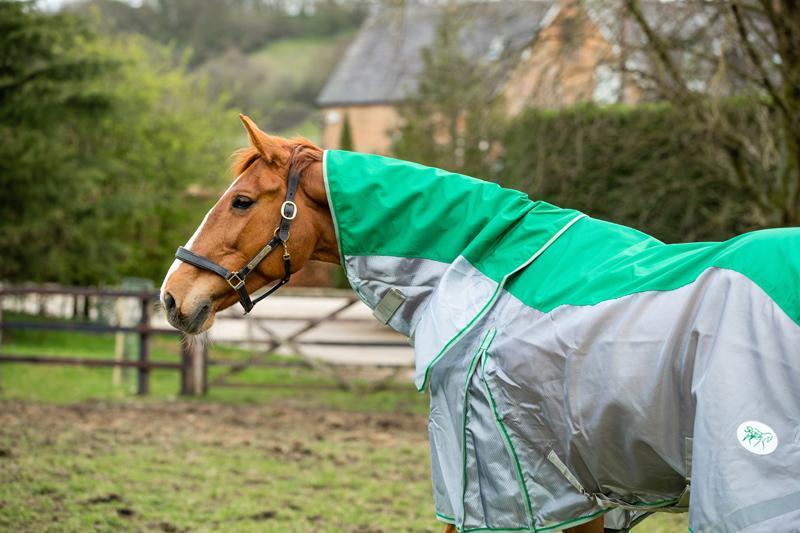 Fly Turnout Combination Rug - Green - Swish Equestrian