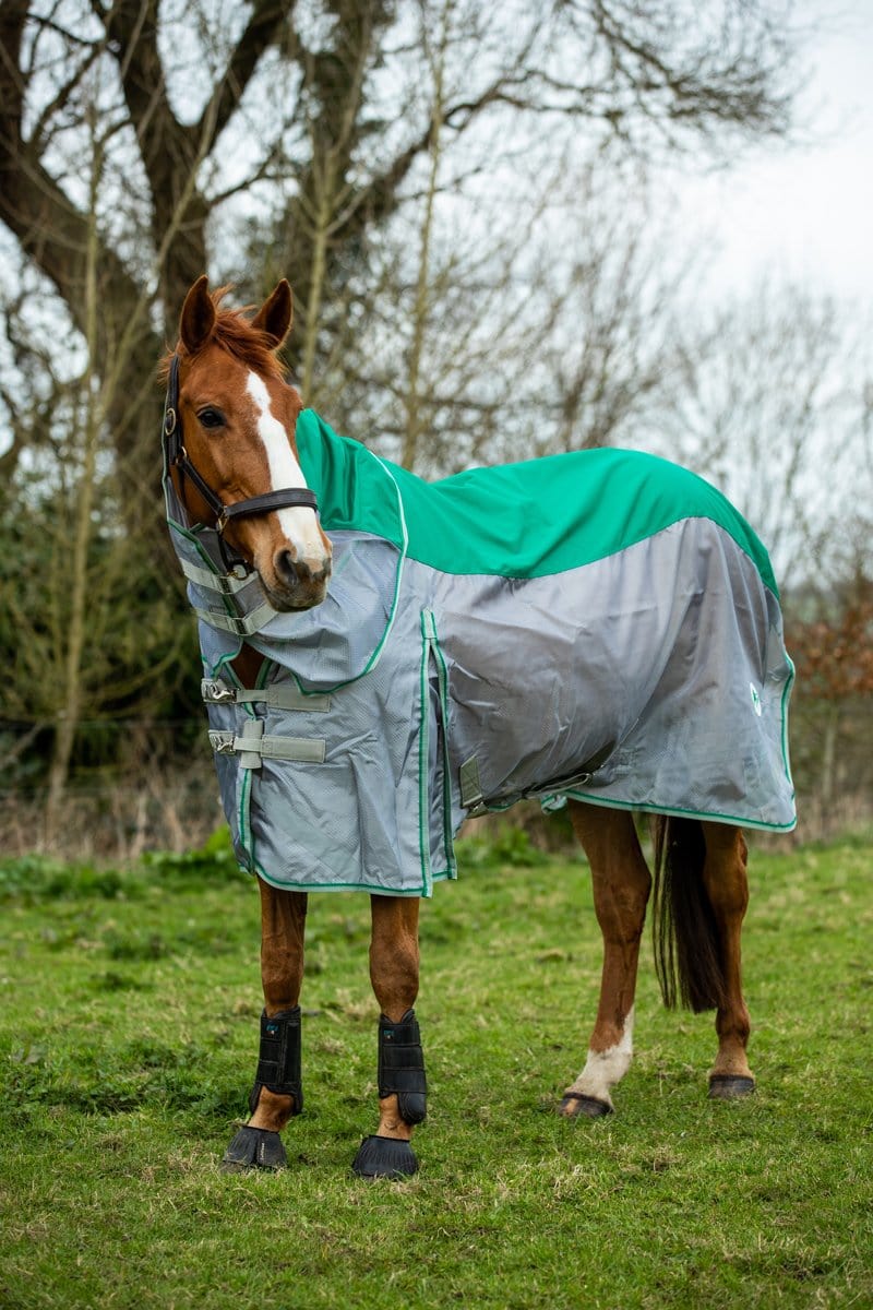 Fly Turnout Combination Rug - Green - Swish Equestrian