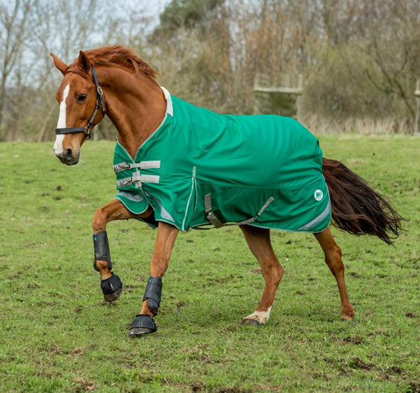 Turnout Rugs | Swish Equestrian