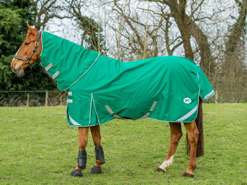 50g Detachable Neck Turnout Rug - Green - Swish Equestrian
