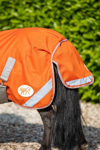 MINI 50g Turnout Rug - Orange - Swish Equestrian