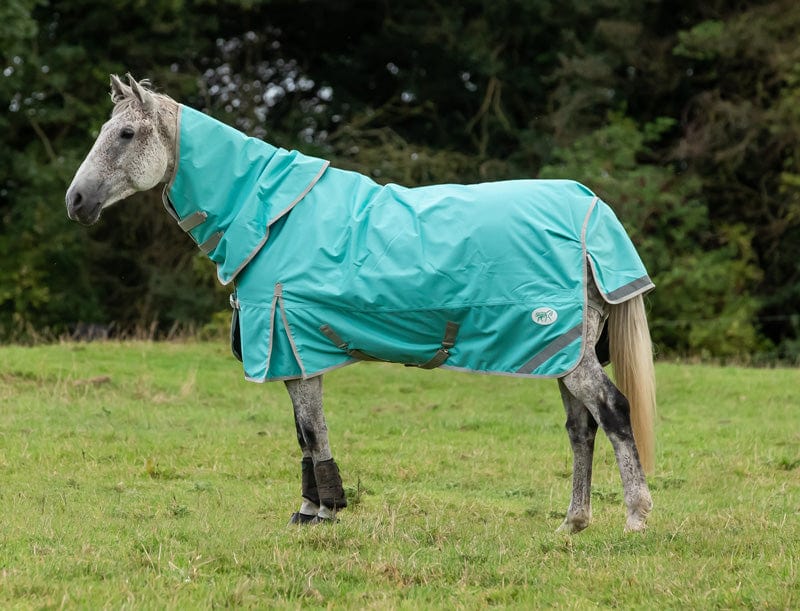 100g Detachable Neck Turnout Rug - Peppermint - Swish Equestrian