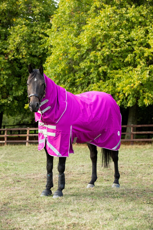 0g Detachable Neck Turnout Rug - Mulberry - Swish Equestrian