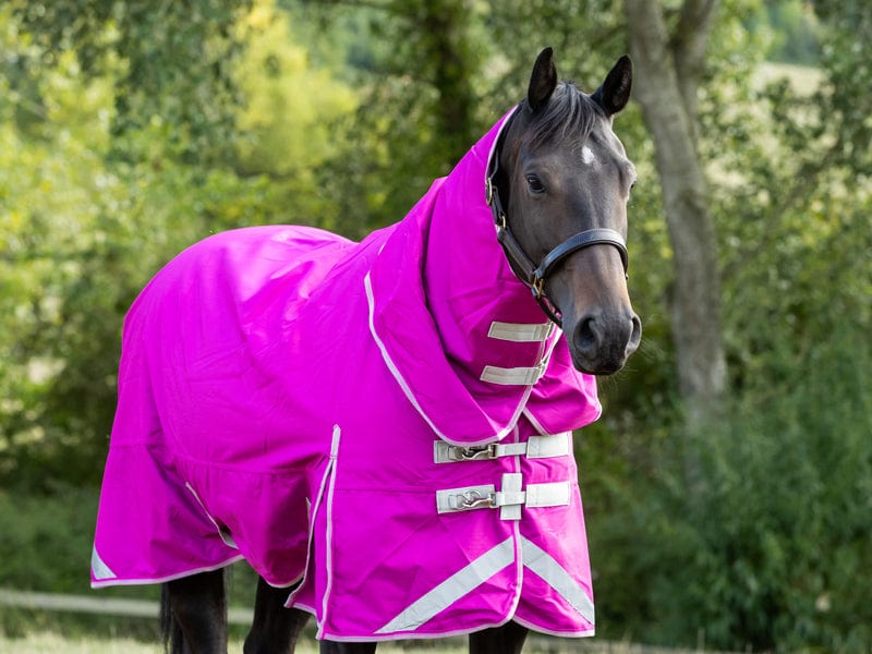 100g Detachable Neck Turnout Rug - Mulberry - Swish Equestrian