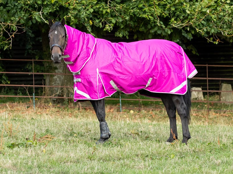 100g Detachable Neck Turnout Rug - Mulberry | Swish Equestrian™