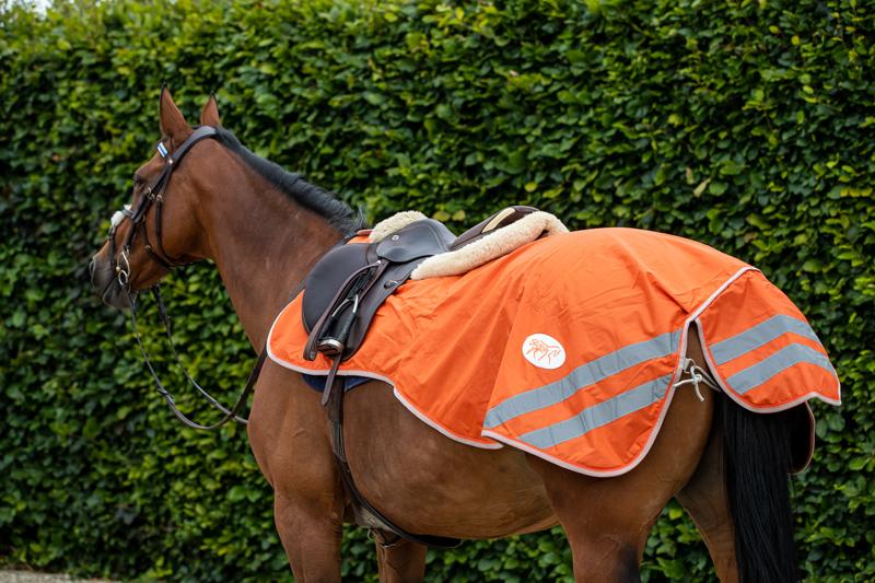 Waterproof Exercise Sheet - Orange - Swish Equestrian