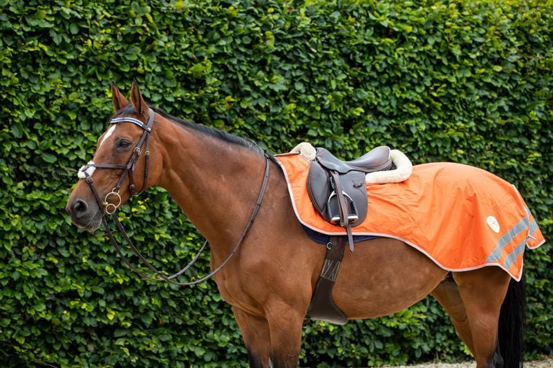 Waterproof Exercise Sheet - Orange - Swish Equestrian