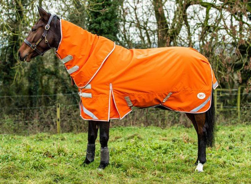 100g Detachable Neck Turnout Rug - Orange - Swish Equestrian