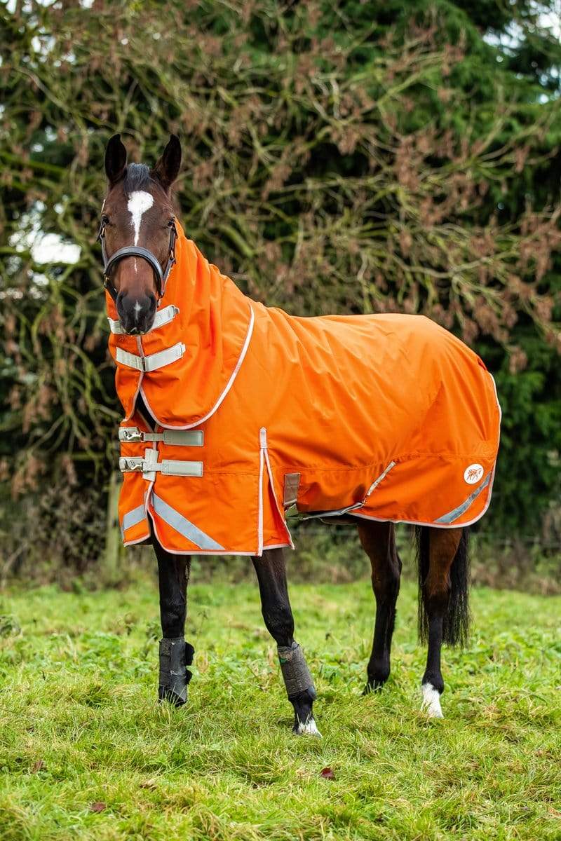 100g Detachable Neck Turnout Rug - Orange - Swish Equestrian