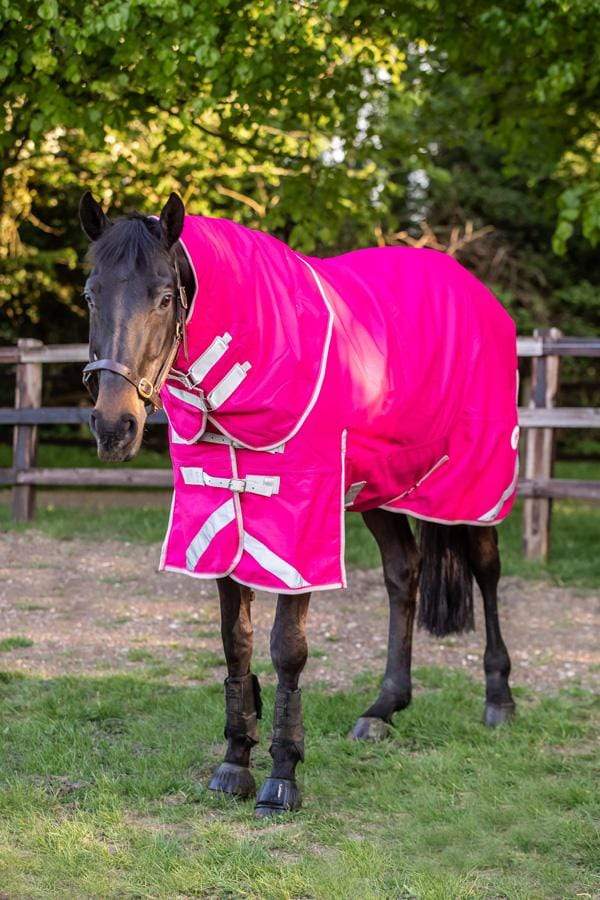 50g Detachable Neck Turnout Rug - Pink - Swish Equestrian