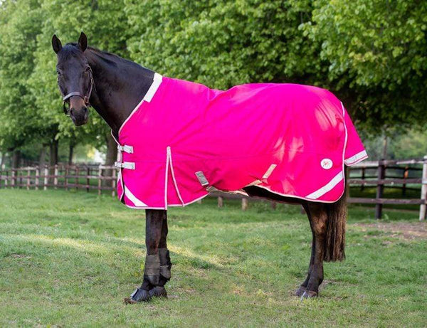 50g Detachable Neck Turnout Rug - Pink - Swish Equestrian