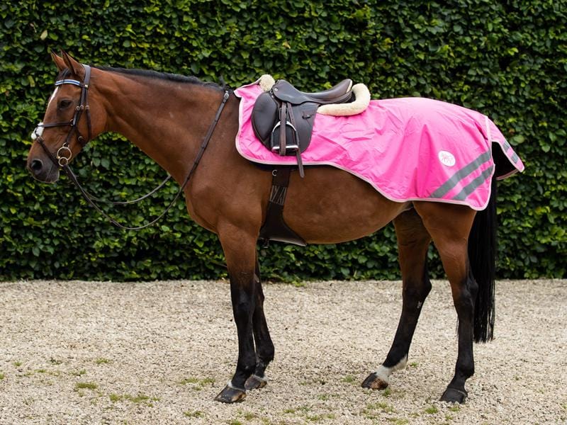 Waterproof Exercise Sheet - Pink - Swish Equestrian