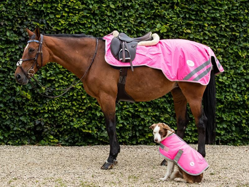 Waterproof Exercise Sheet - Pink - Swish Equestrian