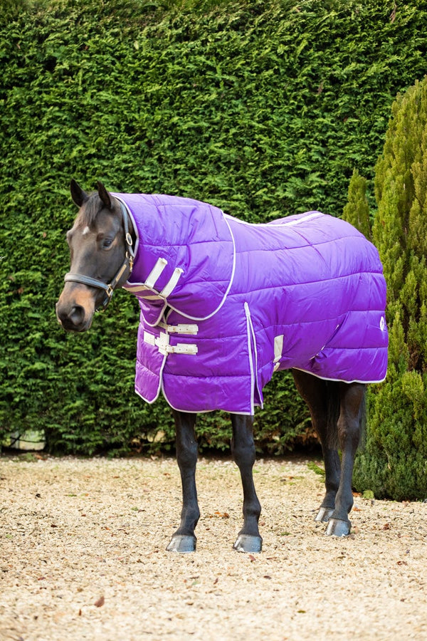 400g Stable Rug Heavyweight Stable Rugs– Swish Equestrian