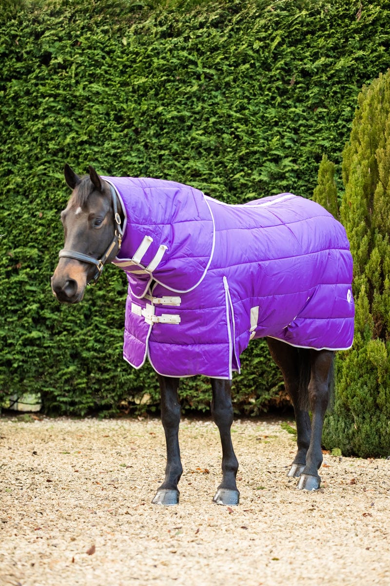 200g Stable Rug With Detachable Neck - Purple - Swish Equestrian