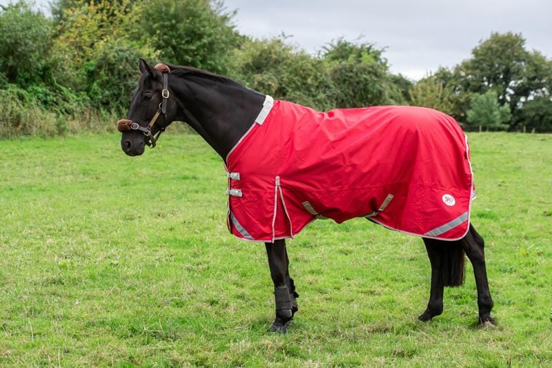 100g Detachable Neck Turnout Rug - Red - Swish Equestrian